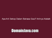Apa Arti Sekop Dalam Bahasa Gaul? Artinya Adalah
