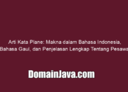 Arti Kata Plane: Makna dalam Bahasa Indonesia, Bahasa Gaul, dan Penjelasan Lengkap Tentang Pesawat