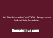 Arti Slay Bahasa Gaul Viral TikTok, Penggunaan & Maksud Kata Slay Adalah